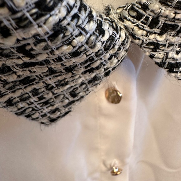 Zara sheer white blouse with black printed collar, sleeves. Gold buttons Size L. - Picture 5 of 6